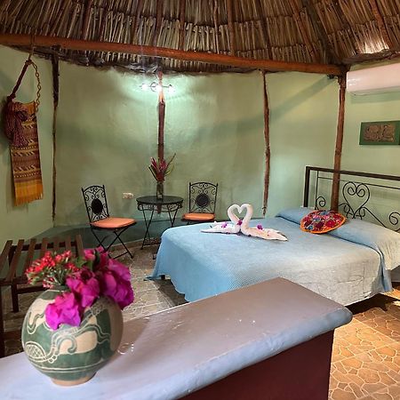 The Pickled Onion Eco-Boutique B&B Santa Elena Extérieur photo