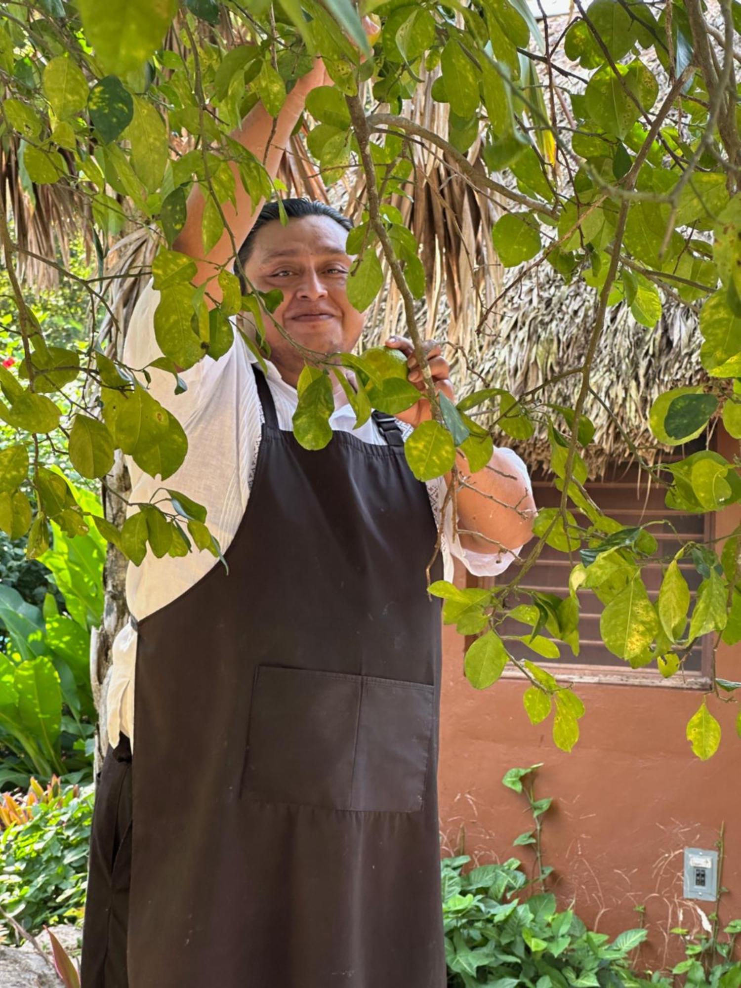 The Pickled Onion Eco-Boutique B&B Santa Elena Extérieur photo