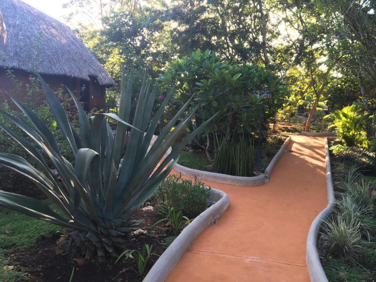 The Pickled Onion Eco-Boutique B&B Santa Elena Extérieur photo